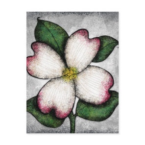 Dogwood Blossom Postcard