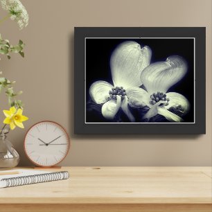 Dogwood Blossoms In Black And White Framed Art