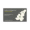 DOGWOOD BLOSSOMS IVORY/GRAY