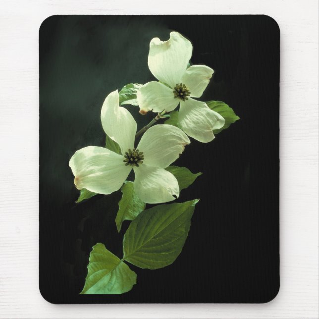 Dogwood Blossum Mousepad (Front)