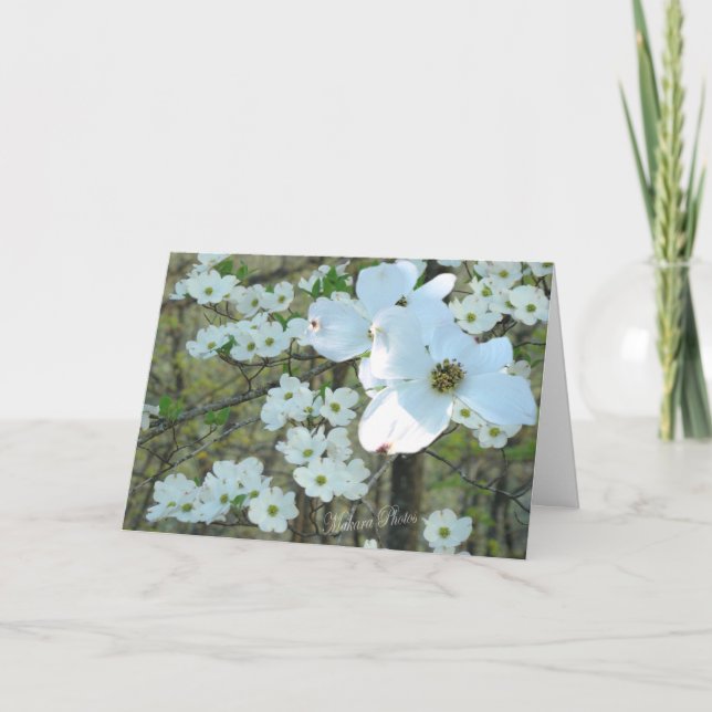 Dogwood branch-add your words for any occasion card (Front)