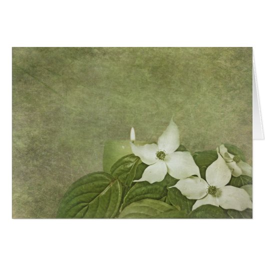 Dogwood Cards (Front Horizontal)