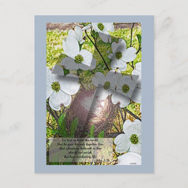 Dogwood Flower and Cross w/John 3:16 Postcard (Front)