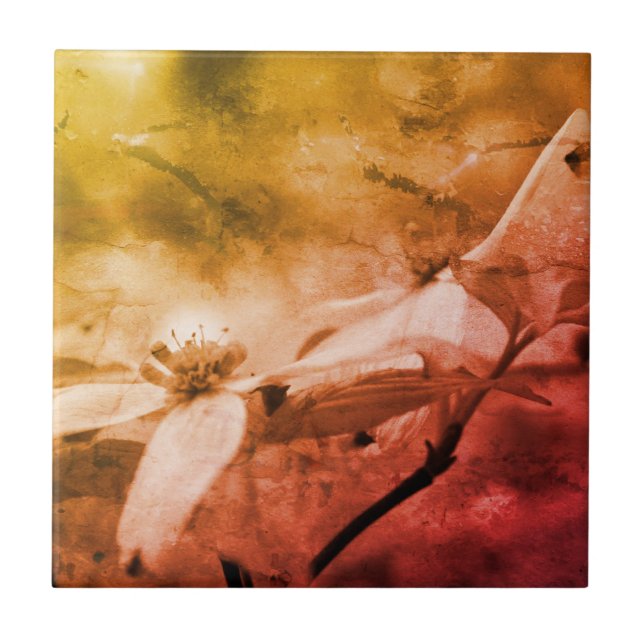 Dogwood Flower Black And White Vintage   Ceramic Tile (Front)