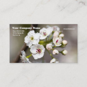 Dogwood Flower Business Card