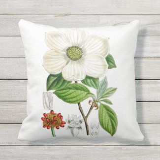 Dogwood Flower Outdoor Throw Pillow 16x16