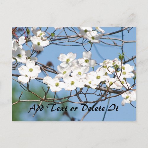 Dogwood Flower postcard