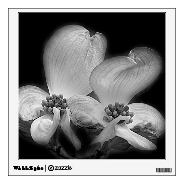 Dogwood Flowers In Black And White Wall Sticker (Front)