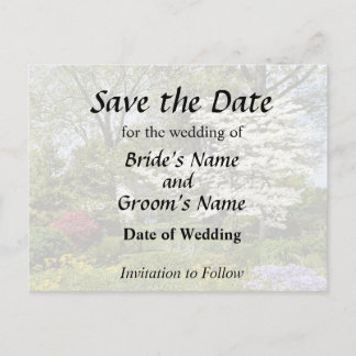 Dogwood in Bloom Announcement Postcard