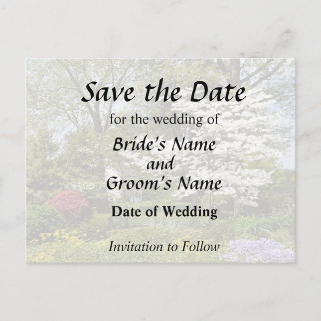 Dogwood in Bloom Announcement Postcard (Front)