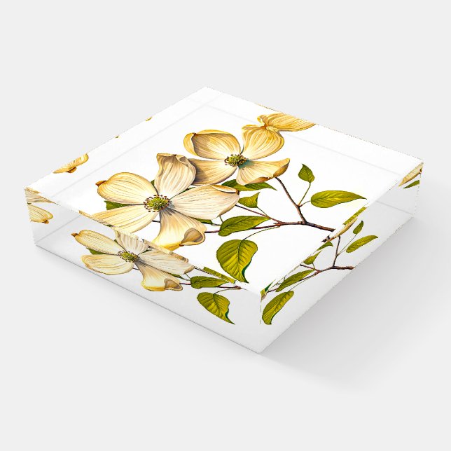 Dogwood Paperweight (Angled)