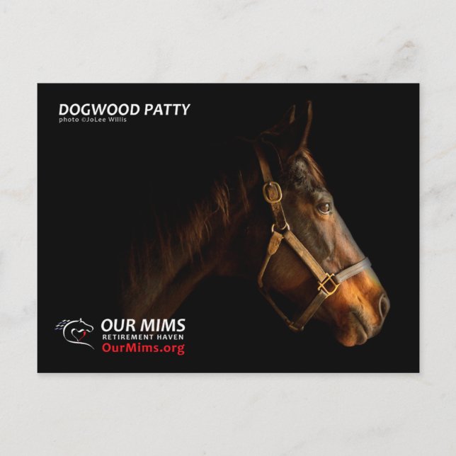 Dogwood Patty postcard (Front)
