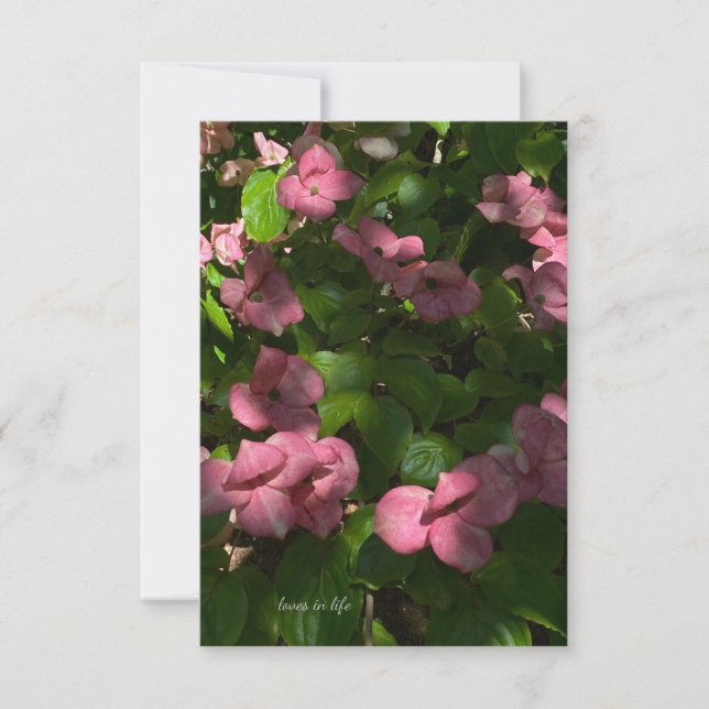 Dogwood Pink Note Card (Front)