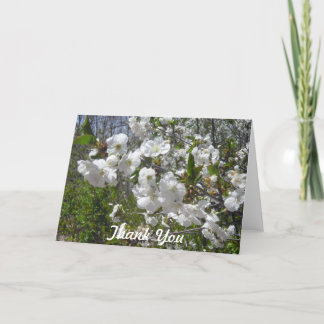 Dogwood Thank You Card