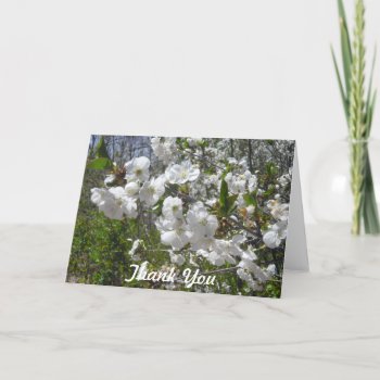 Dogwood Thank You Card by Rinchen365flower at Zazzle
