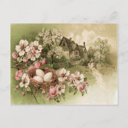 Dogwood Tree Bird Nest Egg Cottage Postcard