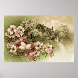 Dogwood Tree Bird Nest Egg Cottage Poster
