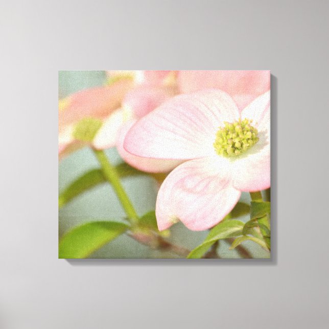 Dogwood Tree Canvas Print (Front)