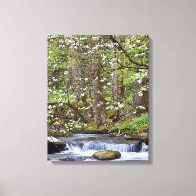 Dogwood Trees | Great Smoky Mountain, Tennessee Canvas Print (Front)