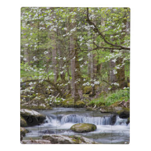 Dogwood Trees Great Smoky Mountain, Tennessee Jigsaw Puzzle