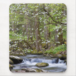 Dogwood Trees   Great Smoky Mountain, Tennessee Mouse Pad