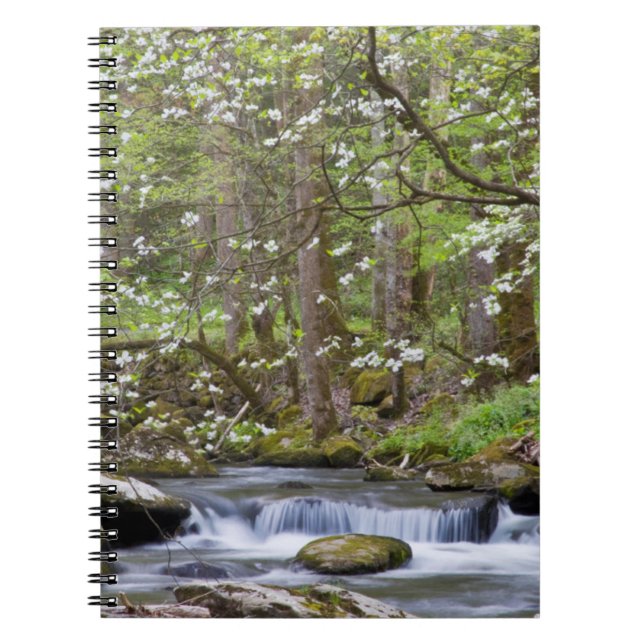 Dogwood Trees | Great Smoky Mountain, Tennessee Notebook (Front)