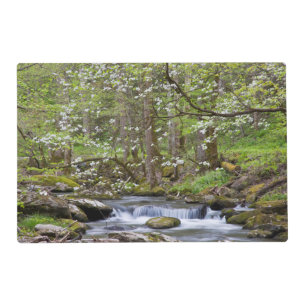 Dogwood Trees   Great Smoky Mountain, Tennessee Placemat