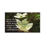 Dogwoods and Redwoods in Yosemite National Park Business Card