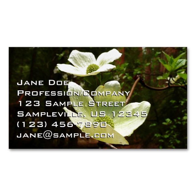 Dogwoods and Redwoods in Yosemite National Park Business Card Magnet (Front)