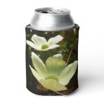 Dogwoods and Redwoods in Yosemite National Park Can Cooler