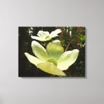 Dogwoods and Redwoods in Yosemite National Park Canvas Print