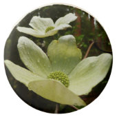 Dogwoods and Redwoods in Yosemite National Park Chocolate Covered Oreo (Front)