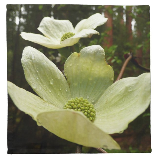Dogwoods and Redwoods in Yosemite National Park Cloth Napkin (Front)