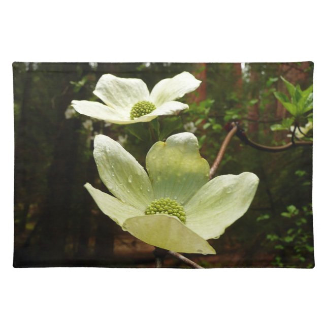 Dogwoods and Redwoods in Yosemite National Park Cloth Placemat (Front)