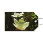 Dogwoods and Redwoods in Yosemite National Park Gift Tags