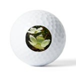 Dogwoods and Redwoods in Yosemite National Park Golf Balls