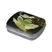 Dogwoods and Redwoods in Yosemite National Park Jelly Belly Tin (Side)