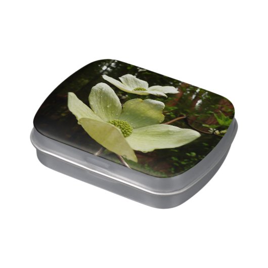 Dogwoods and Redwoods in Yosemite National Park Jelly Belly Tin (Side)
