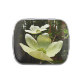 Dogwoods and Redwoods in Yosemite National Park Jelly Belly Tin (Top)