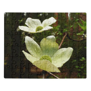 Dogwoods and Redwoods in Yosemite National Park Jigsaw Puzzle