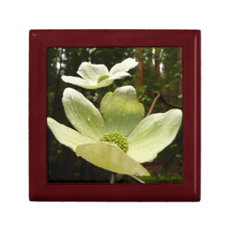 Dogwoods and Redwoods in Yosemite National Park Keepsake Box