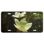 Dogwoods and Redwoods in Yosemite National Park License Plate