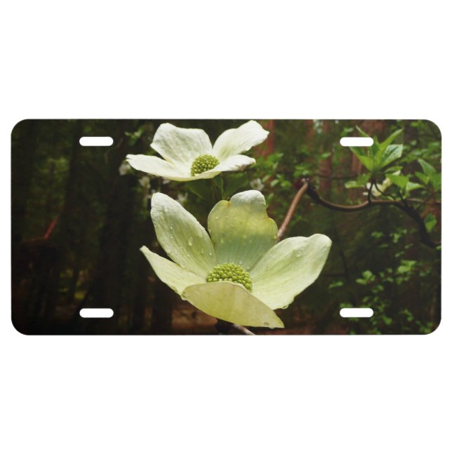 Dogwoods and Redwoods in Yosemite National Park License Plate (Front)