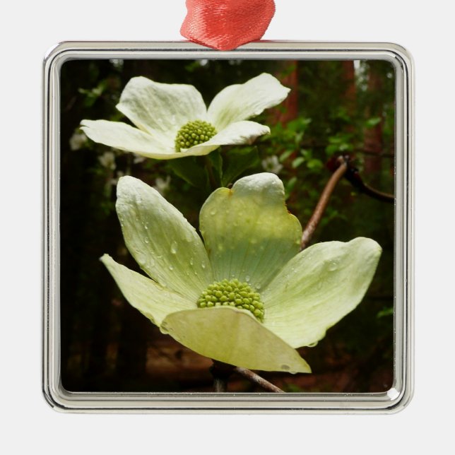 Dogwoods and Redwoods in Yosemite National Park Metal Ornament (Front)