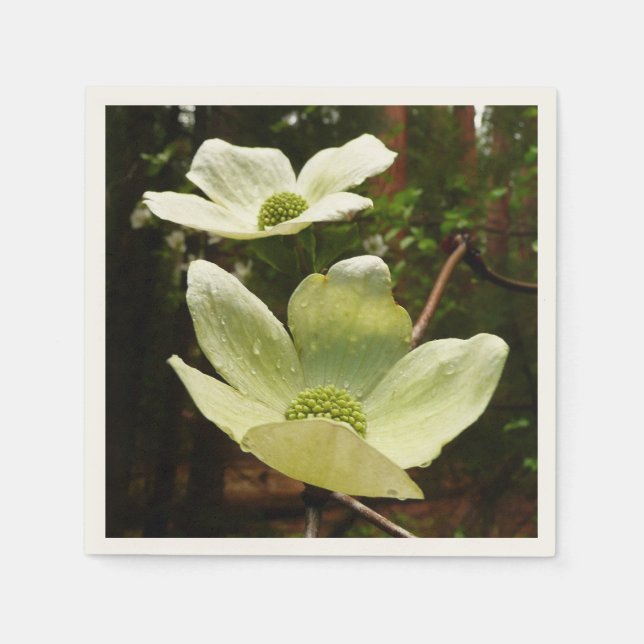 Dogwoods and Redwoods in Yosemite National Park Paper Napkins (Front)