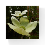 Dogwoods and Redwoods in Yosemite National Park Paperweight