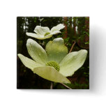 Dogwoods and Redwoods in Yosemite National Park Pinback Button