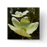 Dogwoods and Redwoods in Yosemite National Park Pinback Button