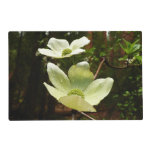Dogwoods and Redwoods in Yosemite National Park Placemat