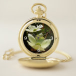 Dogwoods and Redwoods in Yosemite National Park Pocket Watch